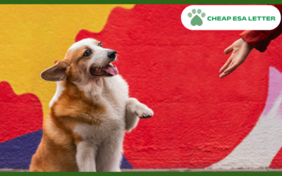 Delaware Emotional Support Animal Laws