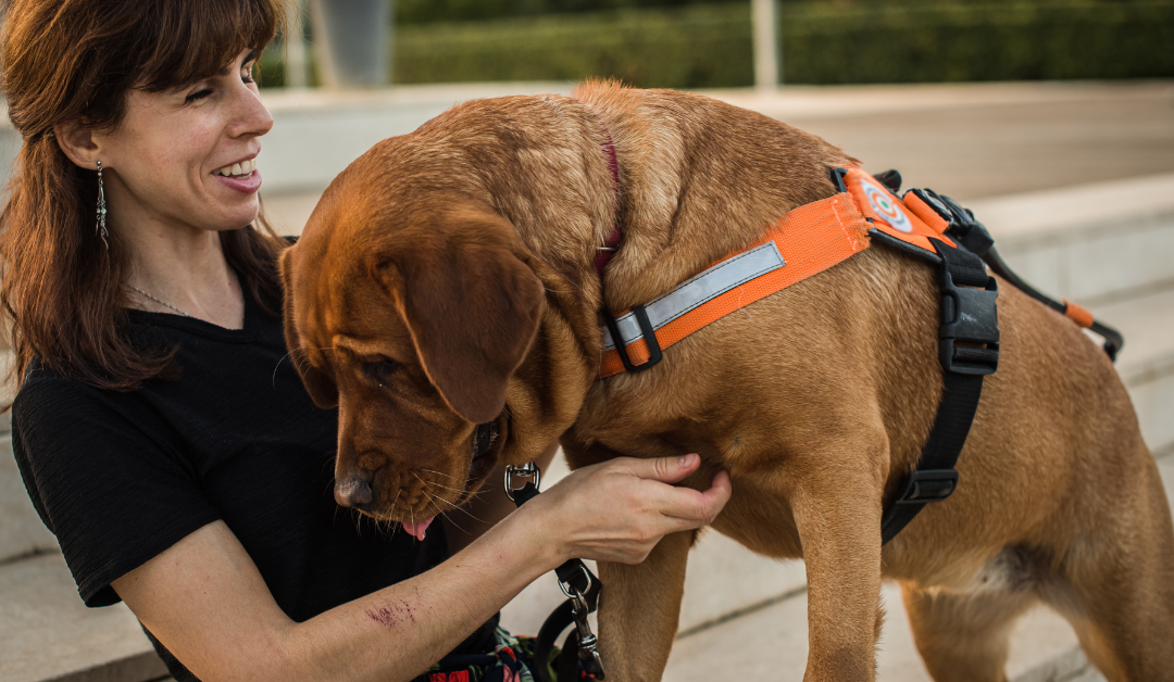 How to Get a Psychiatric Service Dog in Georgia?
