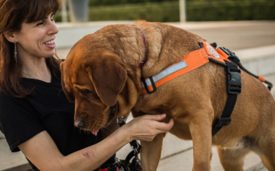 How to Get a Psychiatric Service Dog in Georgia?