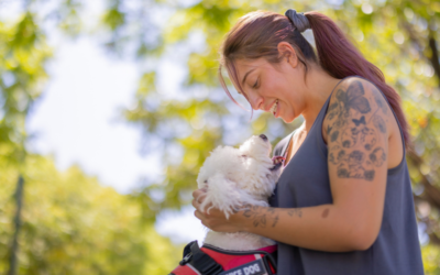 How to Get a Psychiatric Service Dog in Idaho?