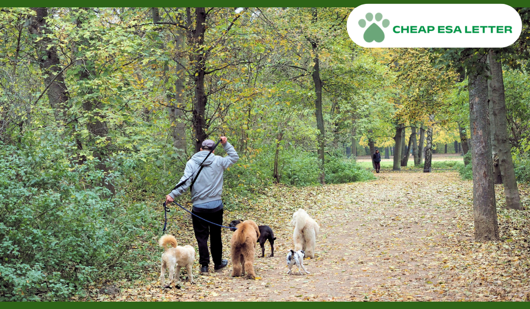 How to Get a Psychiatric Service Dog in Maryland