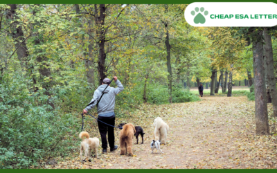 How to Get a Psychiatric Service Dog in Maryland?