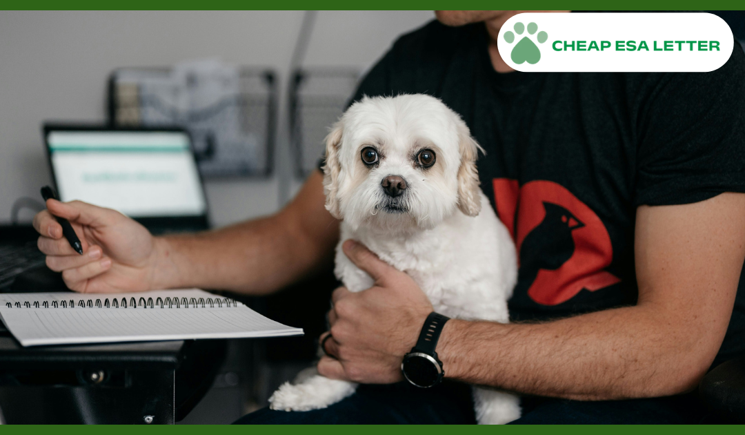 How to Get a Psychiatric Service Dog in Oklahoma?