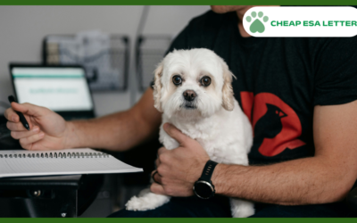 How to Get a Psychiatric Service Dog in Oklahoma?