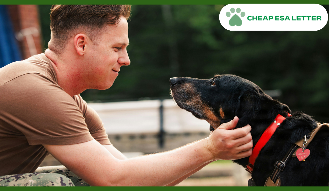 How to Get a Psychiatric Service Dog in Tennessee?
