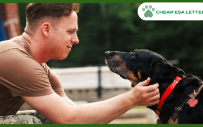 How to Get a Psychiatric Service Dog in Tennessee?