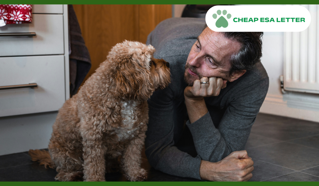 Idaho Emotional Support Animal Laws