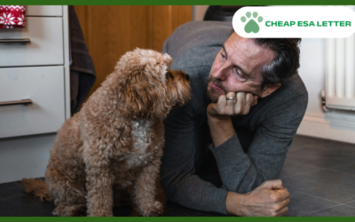Idaho Emotional Support Animal Laws