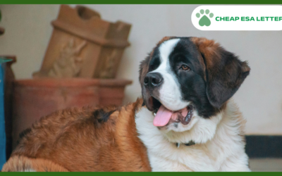 Louisiana Emotional Support Animal Laws