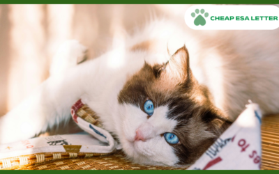 Michigan Emotional Support Animal Laws
