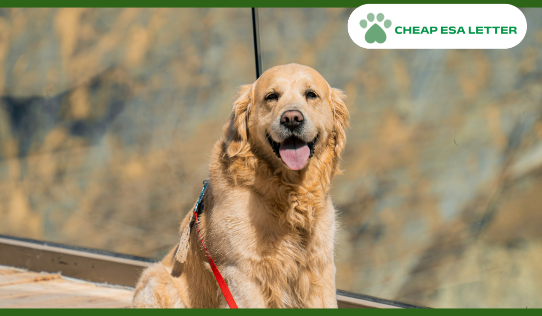Missouri Emotional Support Animal Laws