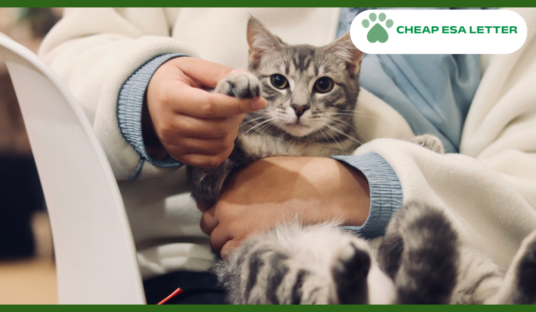 Nevada Emotional Support Animal Laws