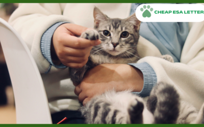 Nevada Emotional Support Animal Laws