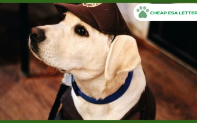 North Carolina Emotional Support Animal Laws