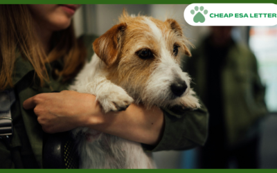 Ohio Emotional Support Animal Laws