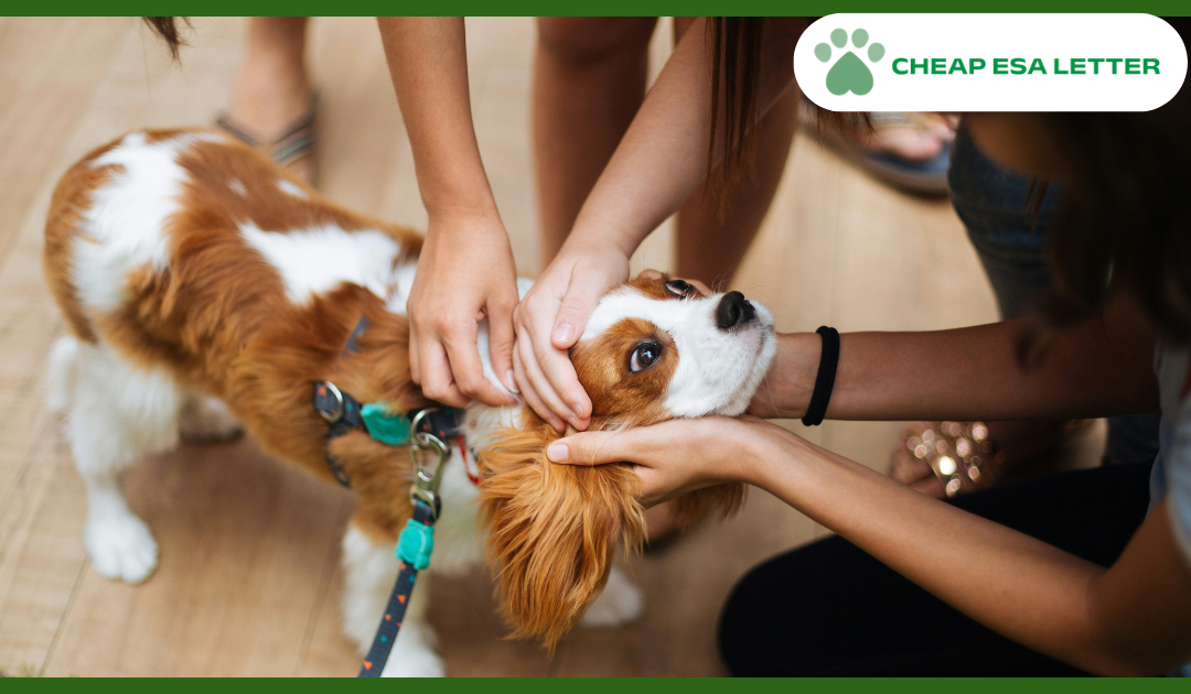 Oklahoma Emotional Support Animal Laws