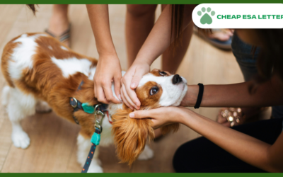 Oklahoma Emotional Support Animal Laws