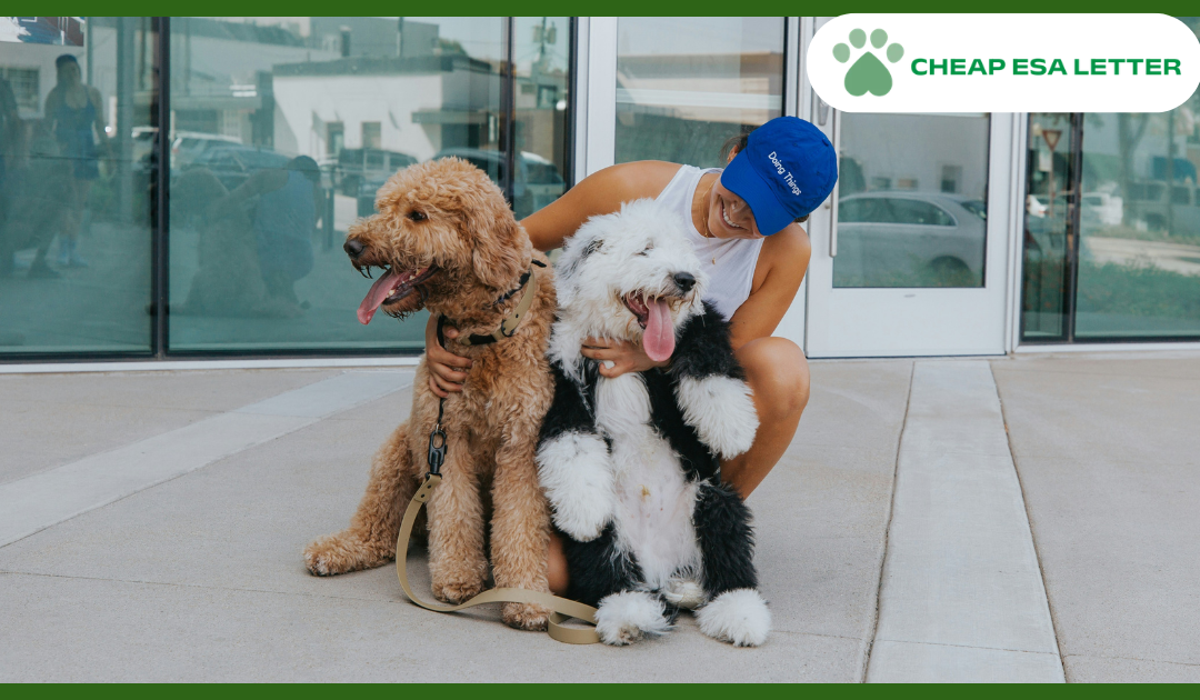 Oregon Emotional Support Animal Laws