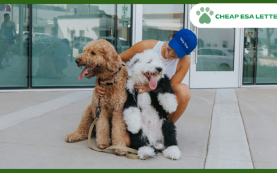 Oregon Emotional Support Animal Laws