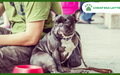 South Dakota Emotional Support Animal Laws