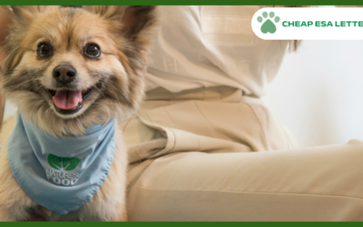 Tennessee Emotional Support Animal Laws