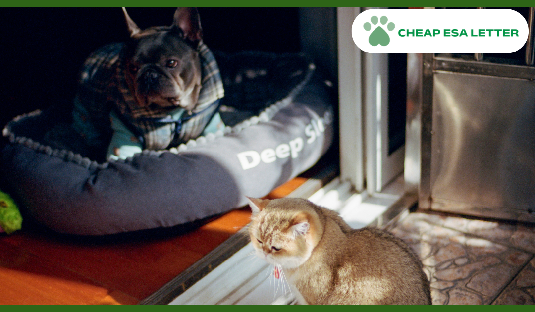 Utah Emotional Support Animal Laws