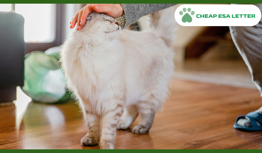 Washington Emotional Support Animal Laws